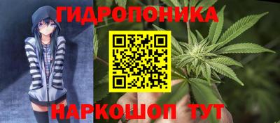 бошки Кинель