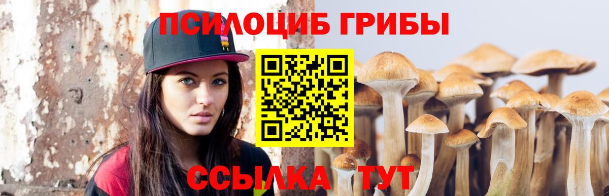 Галлюциногенные грибы Psilocybe  Вход с VPN  Шуя 