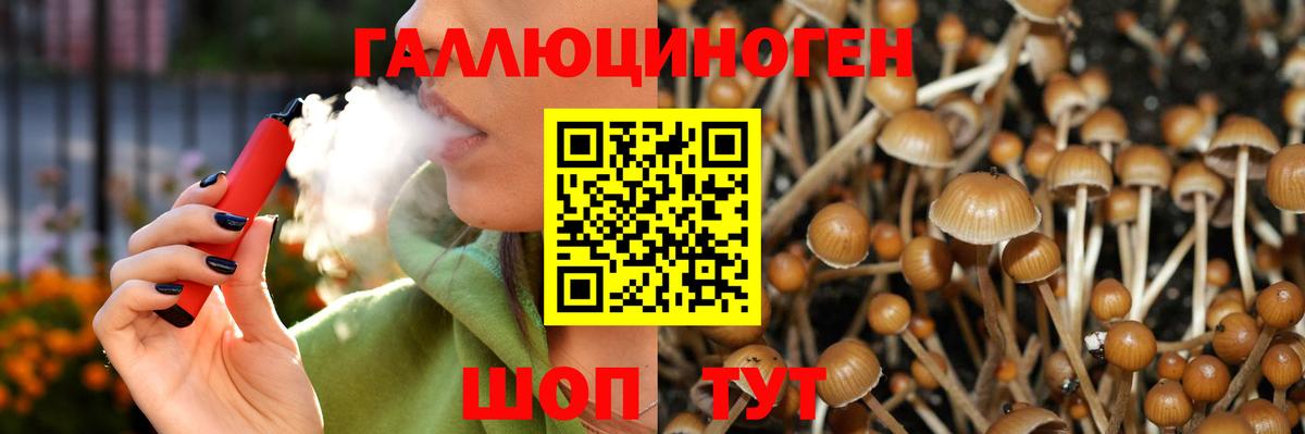 Галлюциногенные грибы Psilocybine cubensis Шуя